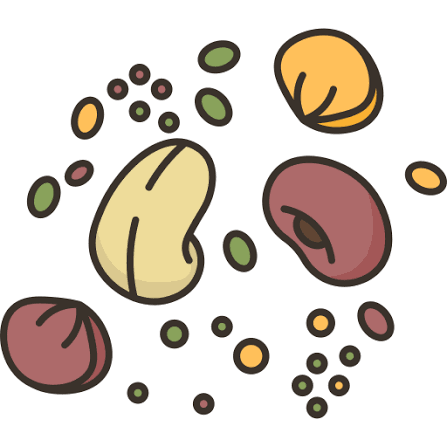SEEDS AND NUTS