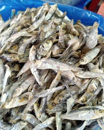 Dry anak ikan tamban kecil 95+_gm*10