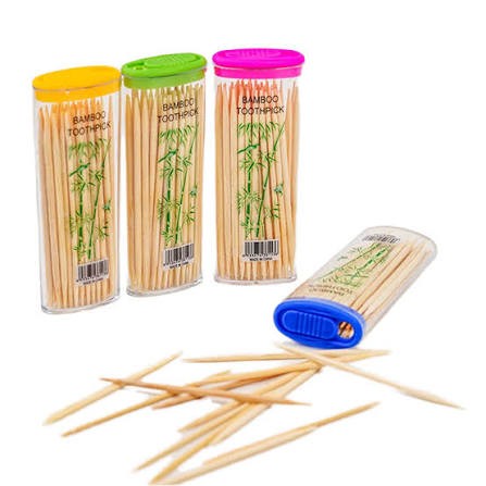 Toothpick portable 100s*24
